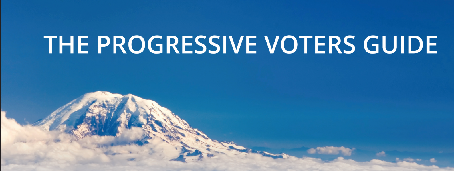 The 2019 Fuse Progressive Voters Guide Fuse Washington